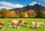 rancher vs farmer