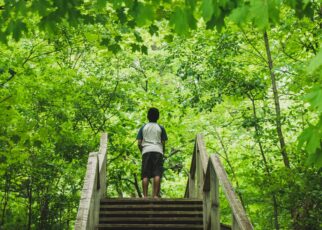 Healing Power of Greenery: Simple Steps to Better Mental Health